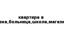 квартира в центре,аптека,больница,школа,магазины,почта.